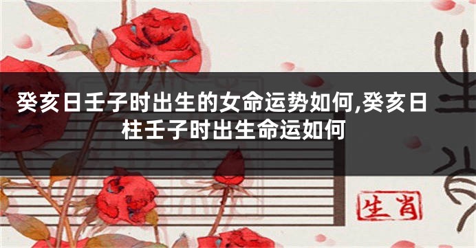 癸亥日壬子时出生的女命运势如何,癸亥日柱壬子时出生命运如何