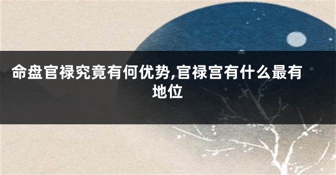 命盘官禄究竟有何优势,官禄宫有什么最有地位