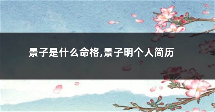 景子是什么命格,景子明个人简历