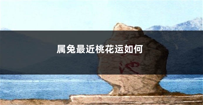 属兔最近桃花运如何