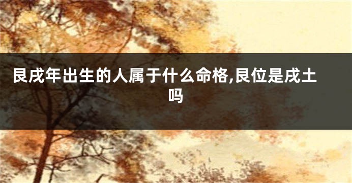 艮戌年出生的人属于什么命格,艮位是戌土吗
