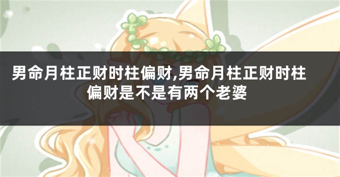 男命月柱正财时柱偏财,男命月柱正财时柱偏财是不是有两个老婆