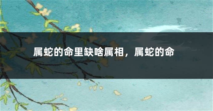 属蛇的命里缺啥属相，属蛇的命