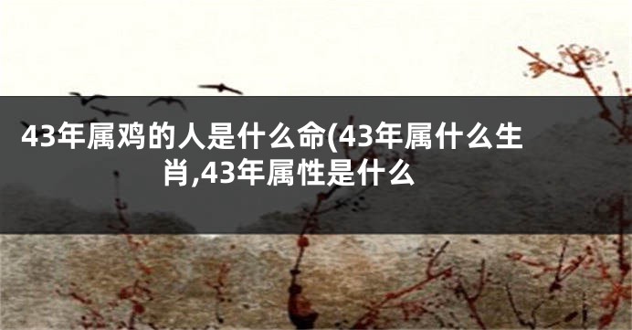 43年属鸡的人是什么命(43年属什么生肖,43年属性是什么