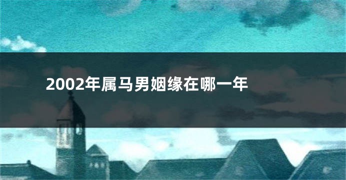 2002年属马男姻缘在哪一年 