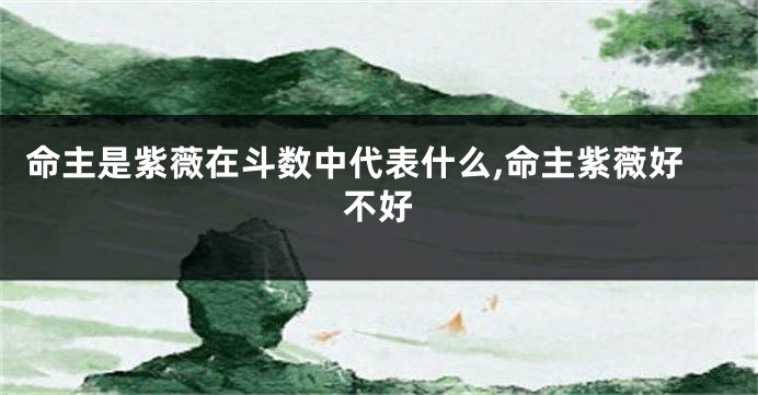 命主是紫薇在斗数中代表什么,命主紫薇好不好