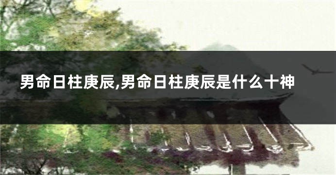 男命日柱庚辰,男命日柱庚辰是什么十神