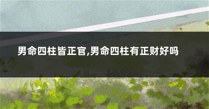 男命四柱皆正官,男命四柱有正财好吗