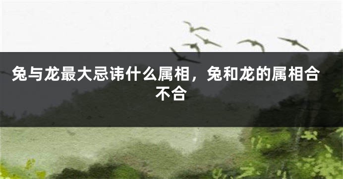 兔与龙最大忌讳什么属相,兔和龙的属相合不合