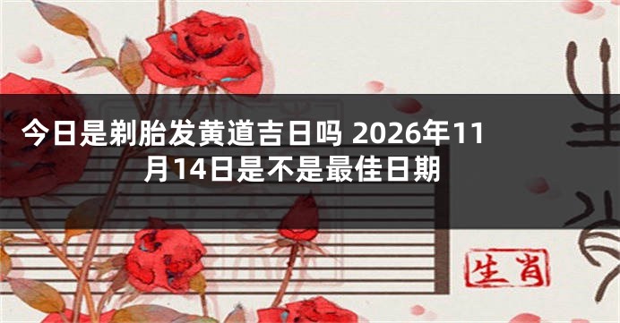 今日是剃胎发黄道吉日吗 2026年11月14日是不是最佳日期