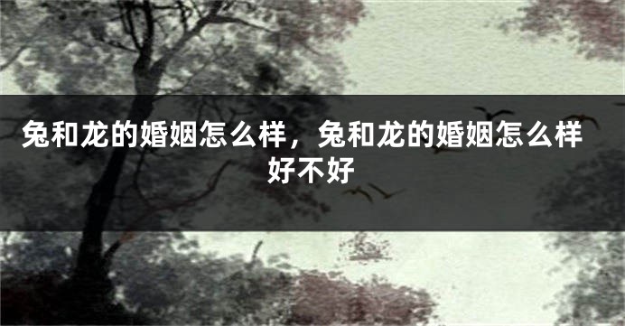 兔和龙的婚姻怎么样，兔和龙的婚姻怎么样好不好
