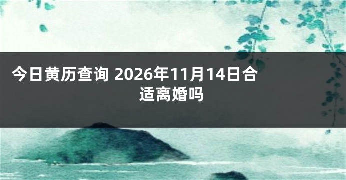 今日黄历查询 2026年11月14日合适离婚吗