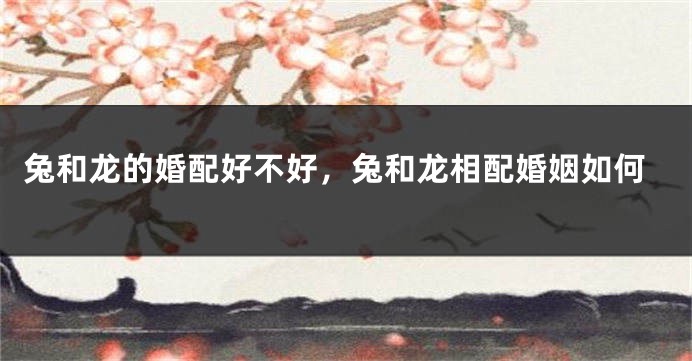 兔和龙的婚配好不好，兔和龙相配婚姻如何