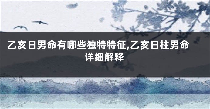 乙亥日男命有哪些独特特征,乙亥日柱男命详细解释