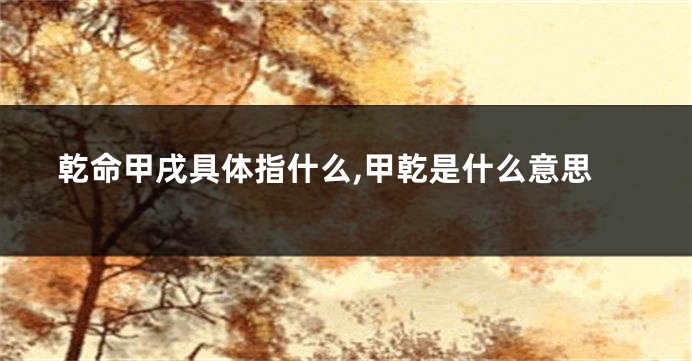乾命甲戌具体指什么,甲乾是什么意思