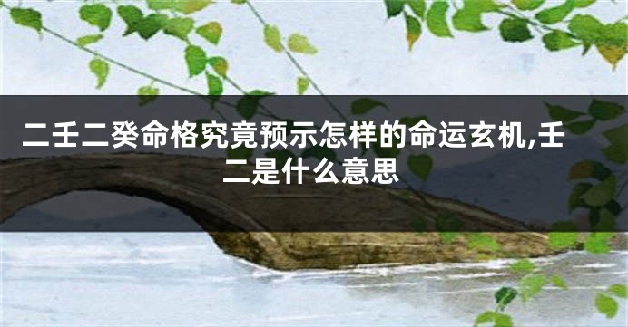 二壬二癸命格究竟预示怎样的命运玄机,壬二是什么意思
