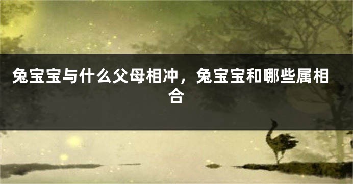 兔宝宝与什么父母相冲,兔宝宝和哪些属相合