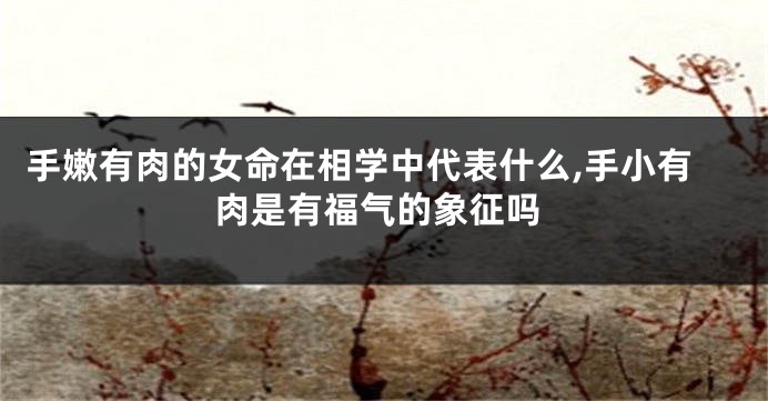 手嫩有肉的女命在相学中代表什么,手小有肉是有福气的象征吗