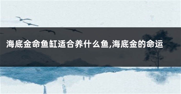 海底金命鱼缸适合养什么鱼,海底金的命运