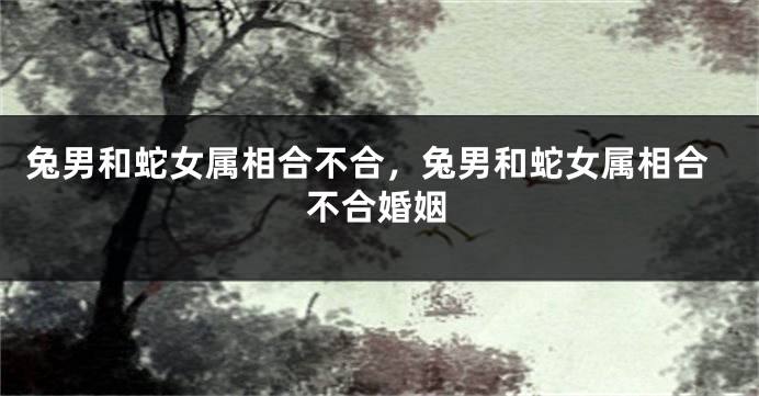 兔男和蛇女属相合不合,兔男和蛇女属相合不合婚姻