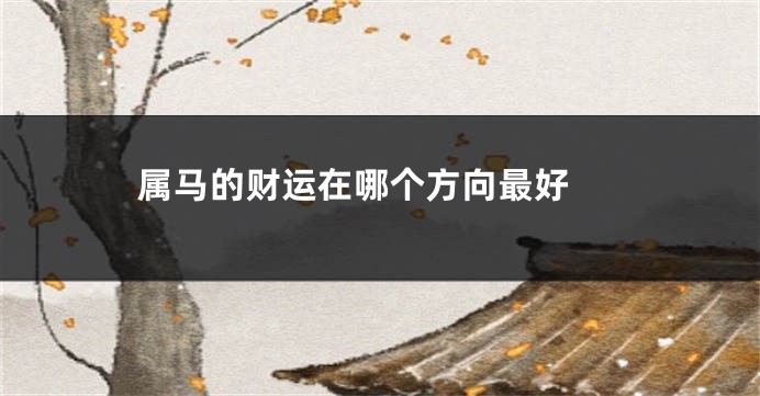 属马的财运在哪个方向最好