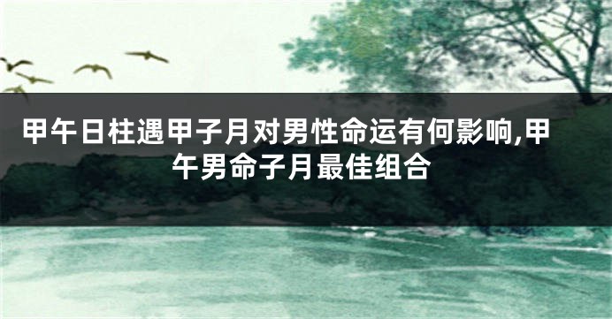 甲午日柱遇甲子月对男性命运有何影响,甲午男命子月最佳组合