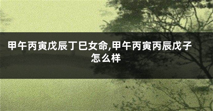 甲午丙寅戊辰丁巳女命,甲午丙寅丙辰戊子怎么样