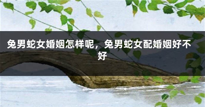 兔男蛇女婚姻怎样呢,兔男蛇女配婚姻好不好