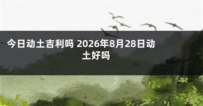 今日动土吉利吗 2026年8月28日动土好吗