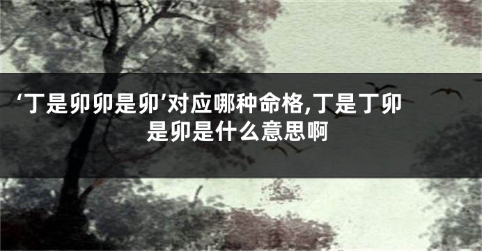 ‘丁是卯卯是卯’对应哪种命格,丁是丁卯是卯是什么意思啊