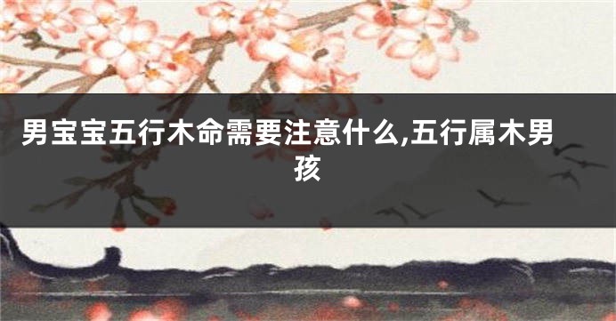 男宝宝五行木命需要注意什么,五行属木男孩