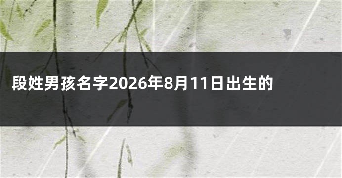 段姓男孩名字2026年8月11日出生的